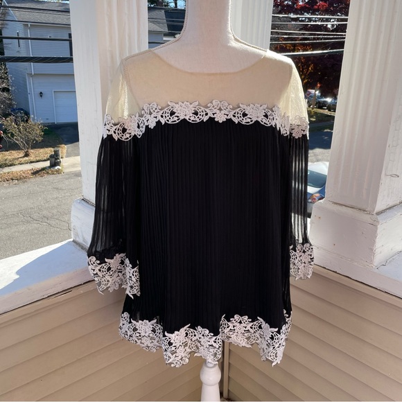 Tadashi Shoji Jean Pleated Chiffon Lace Top Size 18 - Picture 5 of 11